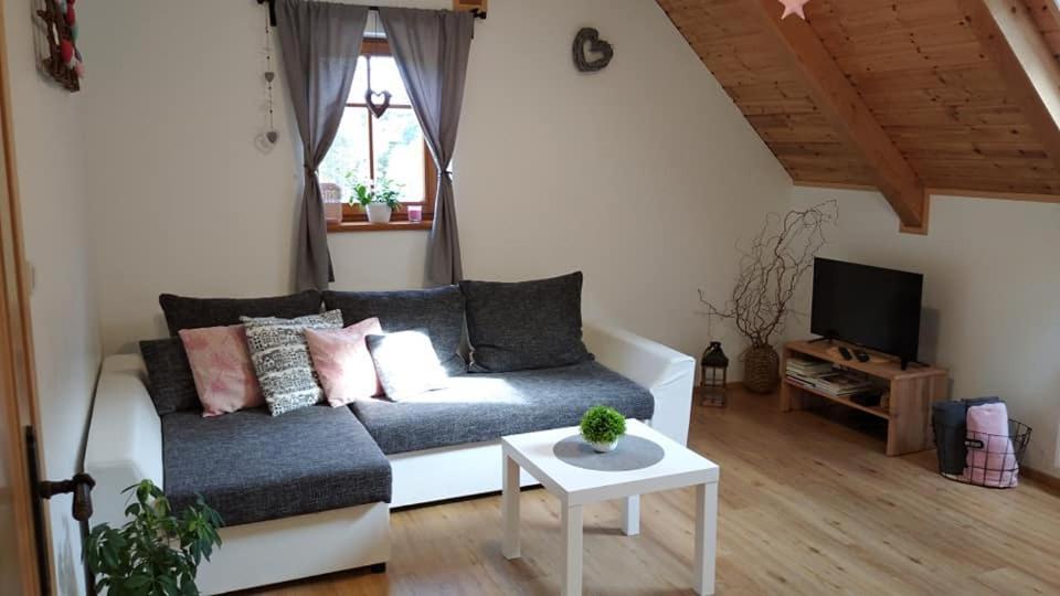 Apartmany U Vlcich Jam Petrovice u Susice Exterior photo